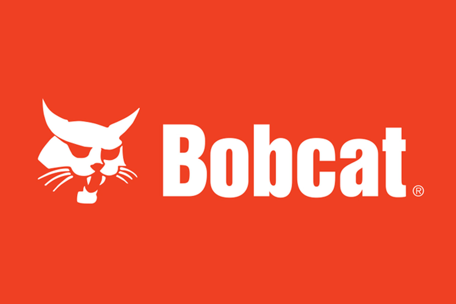 Bobcat